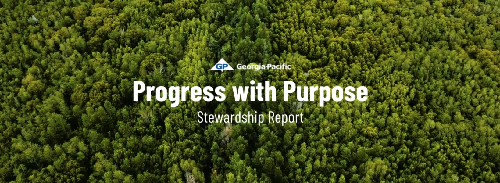 Explore Dynamic 2023 Stewardship Report